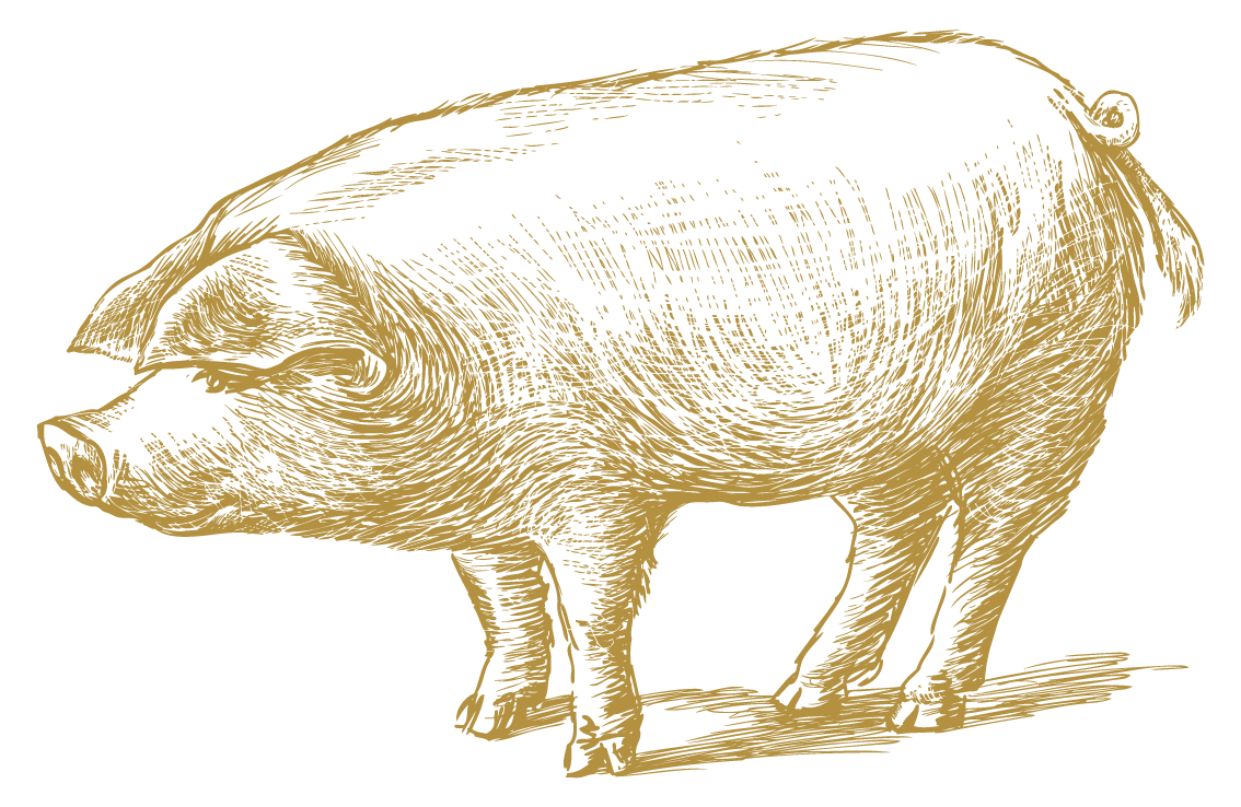 Cochon haute qualité